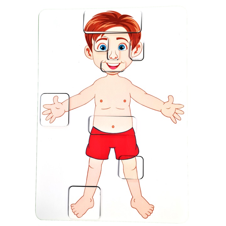 Plansa educativa - Corpul uman 20cmx30cm