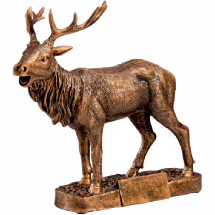 Trofeu Vanatoare, 20.5 x 6 x 20.5 cm