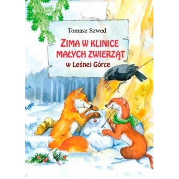 Zima w klinice małych zwierząt w Leśnej Górce, BIS, Tomasz Szwed