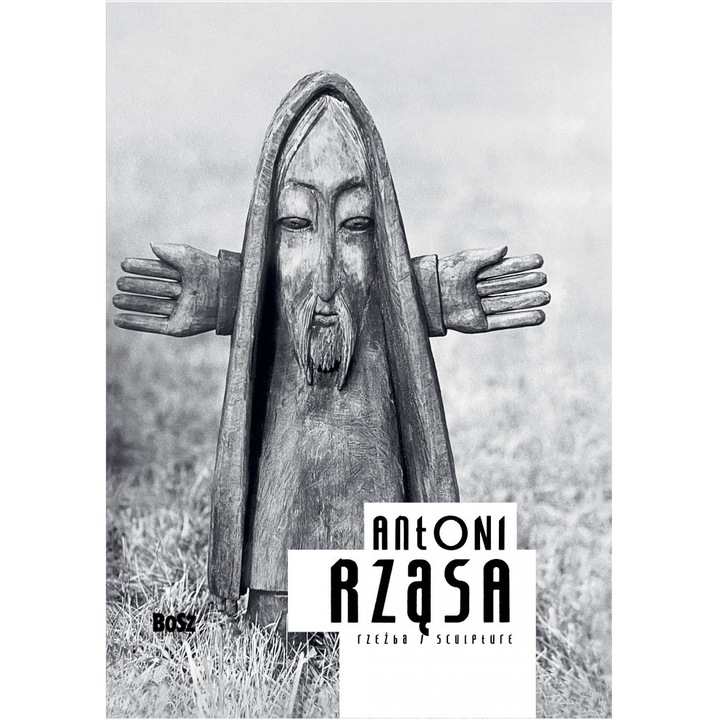 Antoni Rzasa, BOSZ, Gri