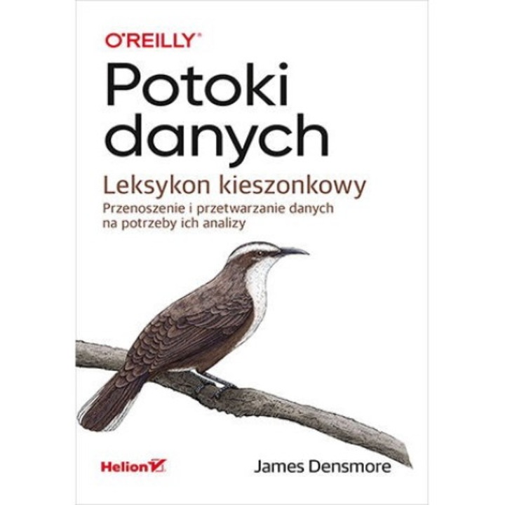 Potoki danych, Leksykon kieszonkowy - James Densmore, Helion