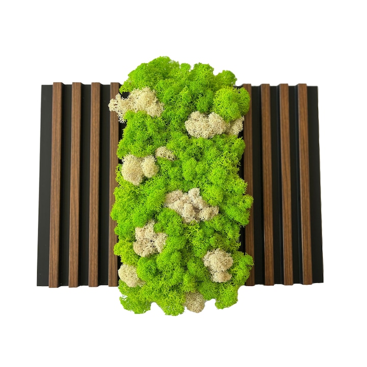 Tablou cu riflaje si licheni verzi si albi stabilizati