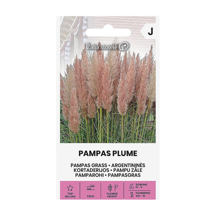 Seminte, Iarba de Pampas Plume Pink, Žalia Stotelė, plic, 0.2 grame