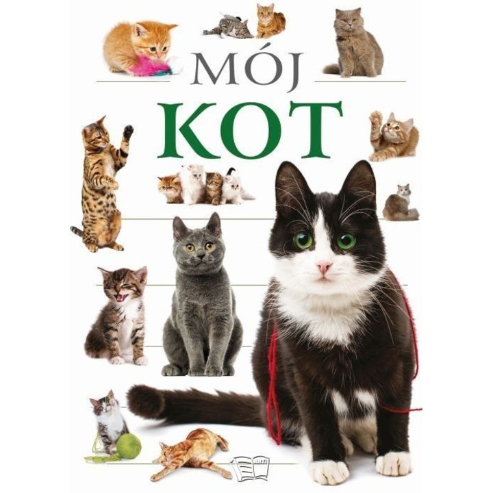 Mój kot, Arti