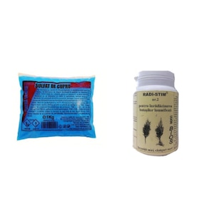 Set Sulfat de cupru, piatra vanata, ingrasamant de tip MIF, pentru stropire pomi fructiferi, vita de vie si legume, 1 Kg + Ingrasamant Radi-stim 2 pentru butasi lemnificati pudra 500g