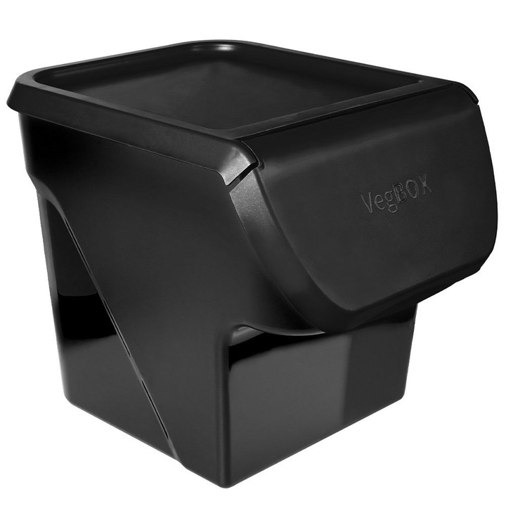 Recipient Depozitare, Vilde, 730510-C, Pentru Depozitare, Capacitate 13 L, Capac Cu Clapeta, 34 x 26 x 27.5 cm, Plastic, Negru