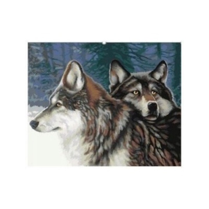 Broderie cu diamante, Norimpex, 30x40 cm, 7 ani+