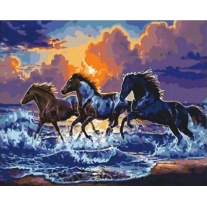 Set broderie diamante, Norimpex, Model cai, Multicolor