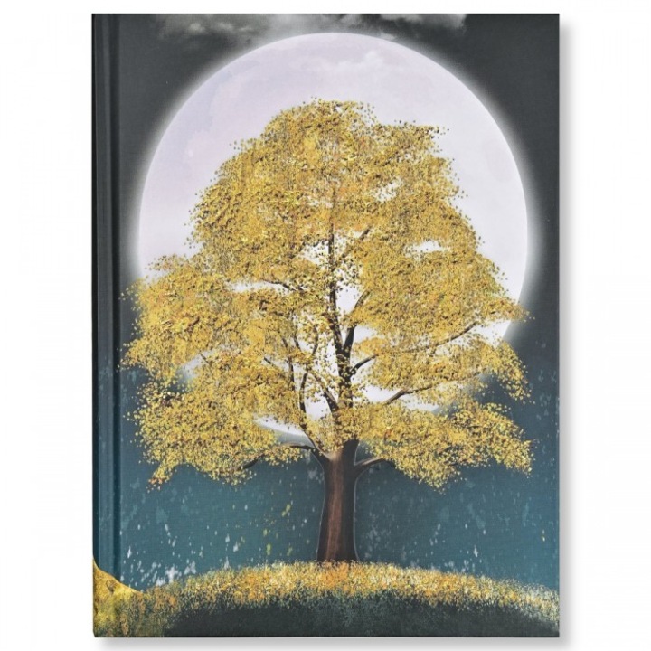 Agenda, Peter Pauper Press, A5, 160 pagini, 15,9x21,59cm Multicolor