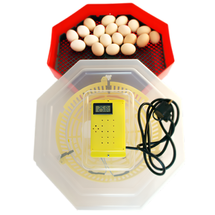 Incubator oua Cleo cu termometru digital si termostat, capacitate 60 oua gaina, 150 oua prepelita