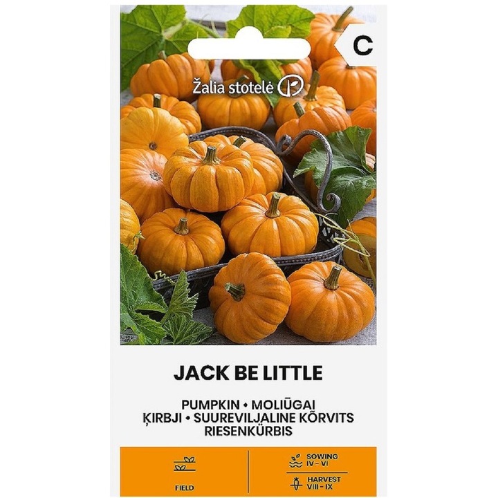 Seminte, Dovlecei decorativi Jack Be Little, Žalia Stotelė, plic, 1 gram