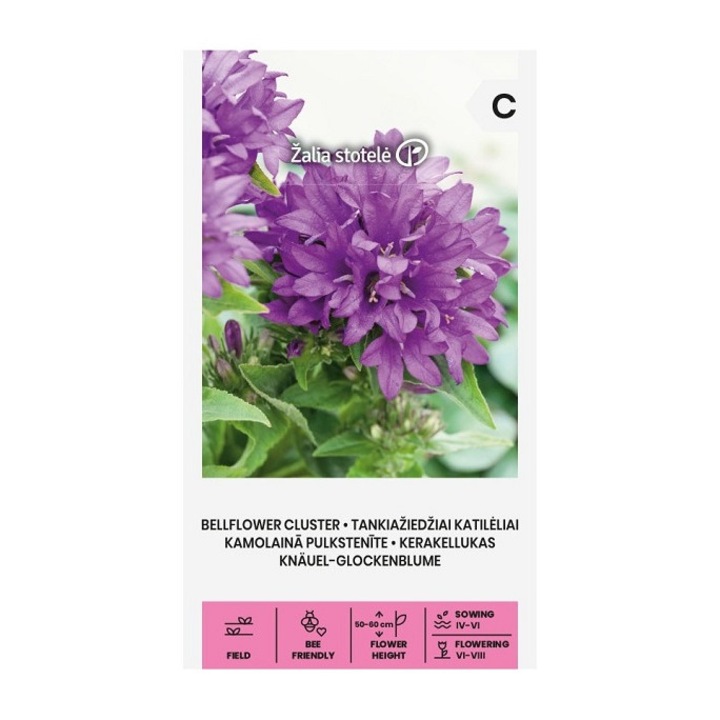 Seminte, Campanula Glomerata, Žalia Stotelė, plic, 0.1 grame