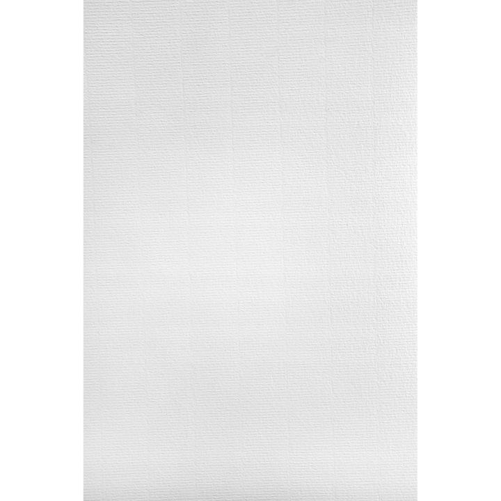 Set Hartie decorativa colorata, Netuno, Aster Laid, cu nervuri texturateAster Laid, 120g, A4, 210x297 mm, Alb, 500 buc