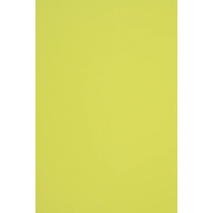 Woodstock színű ökológiai dekorációs papír 285g Pistacchio világoszöld db. 10A4