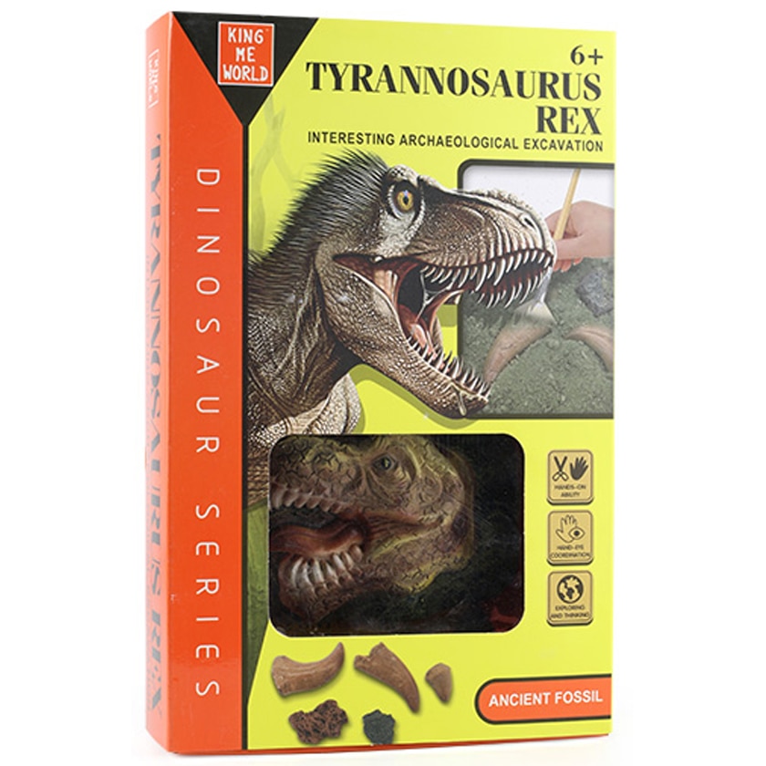 Kit arheologie, Mappy Tyrannosaurus Rex