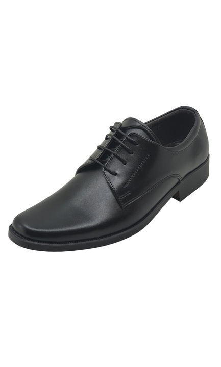Pantofi barbati eleganti din piele naturala, negru, ADYSIRETN, Marimea 44