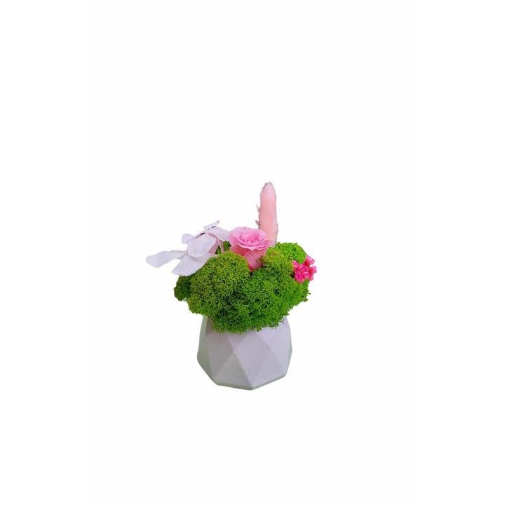 Aranjament floral, martisor, cu licheni stabilizati, trandafir criogenat XS, Pink, H12 cm