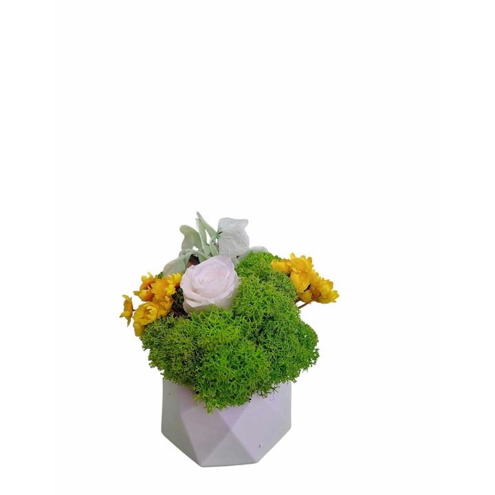 Aranjament floral, Martisor, cu licheni stabilizati, trandafir criogenat XS, White, H10 cm