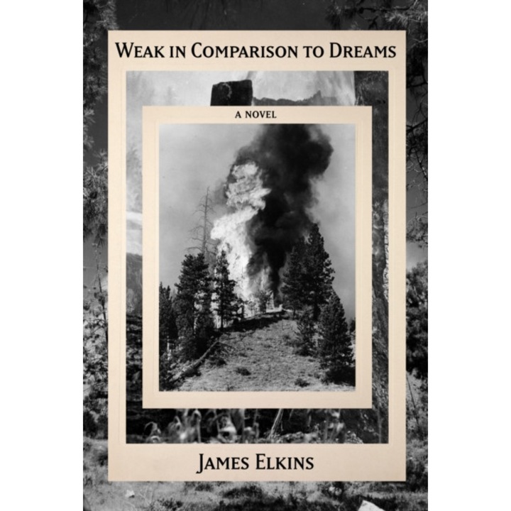 Weak in Comparison to Dreams de James Elkins