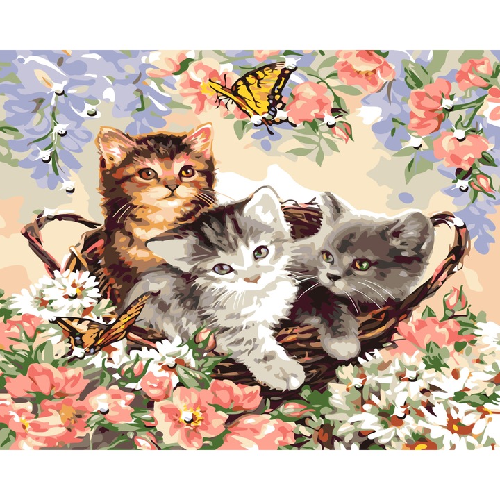 Set pictura si desen Norimpex, 40x50cm