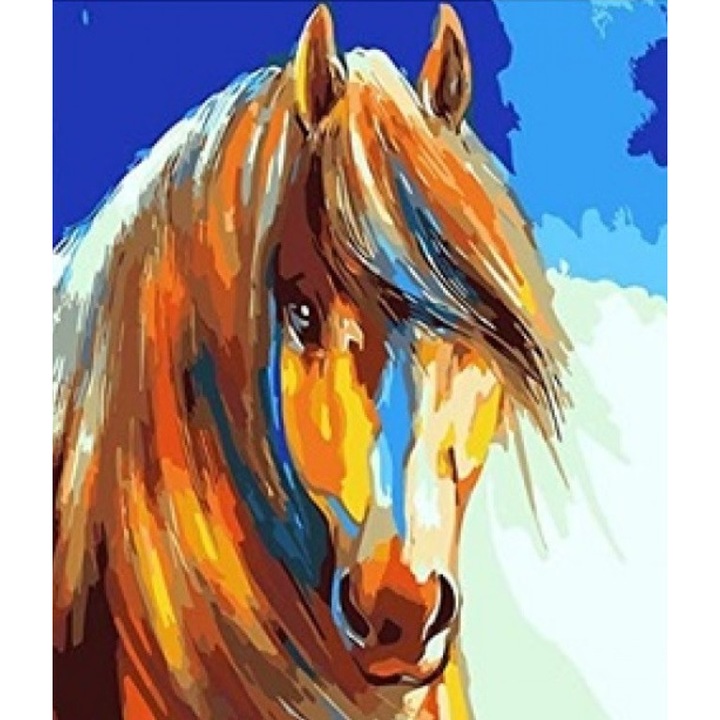 Set Pictura dupa Numere Norimpex, "Cal cu Griva", 40x50cm, Include Panza si Culori