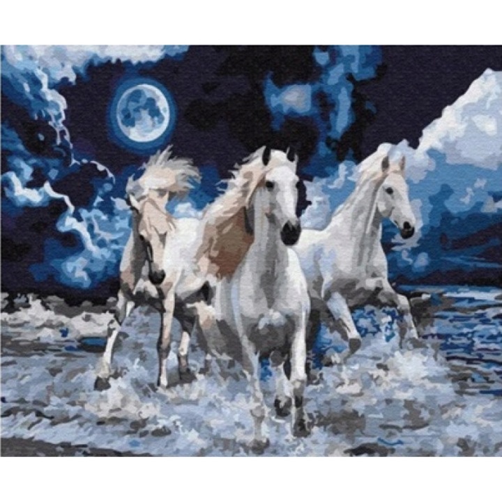 Set pictura dupa numere "Cai in Galop", Norimpex, 40x50cm