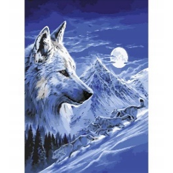 Set pictura cu numere Norimpex, pentru adulti, 40x50 cm