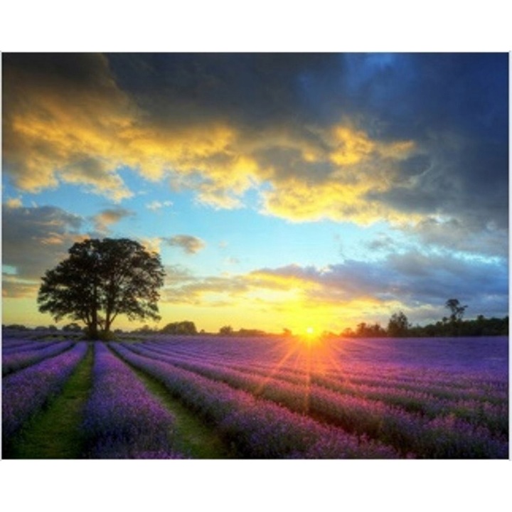 Set pictura cu numere Norimpex, pentru adulti, 40x50 cm