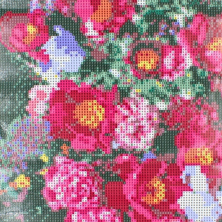 Set broderie diamante 5D 30x40cm Bujor