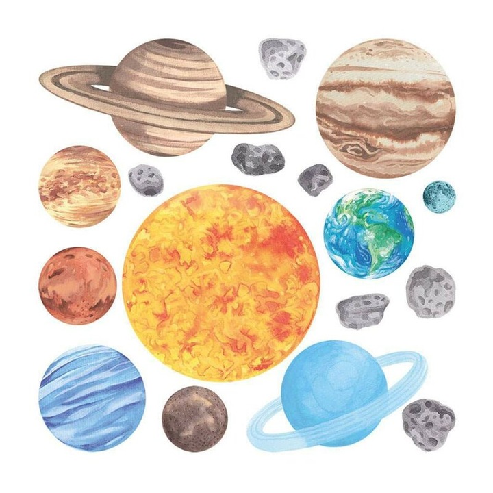 Falimatrica Bayo, naprendszer, S