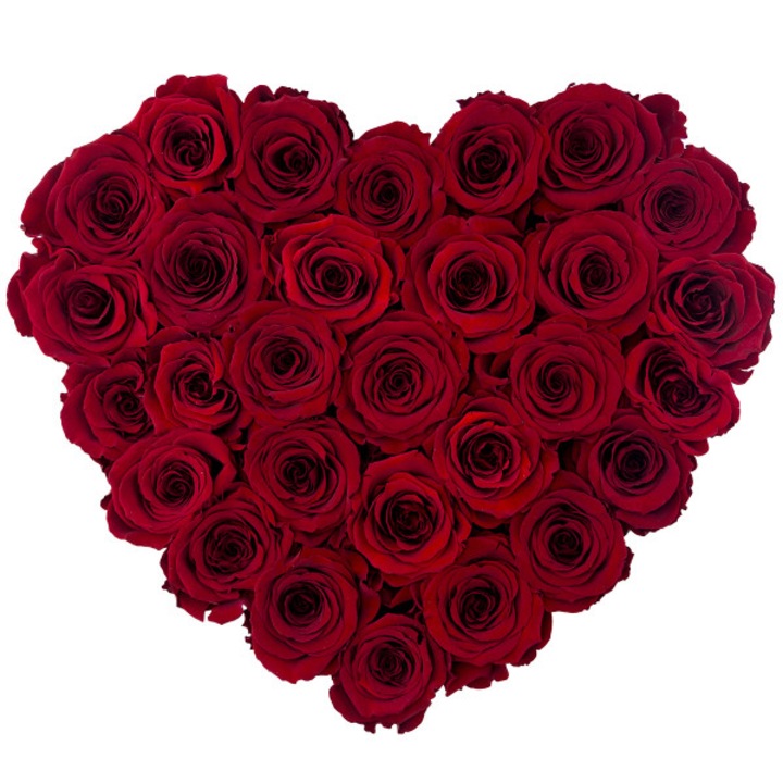 Rózsa csokor, Rose du Chateau, 31 cm, piros