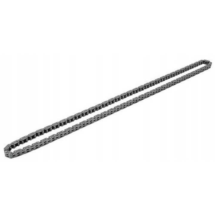 Lant de distributie Borsehung B1C019