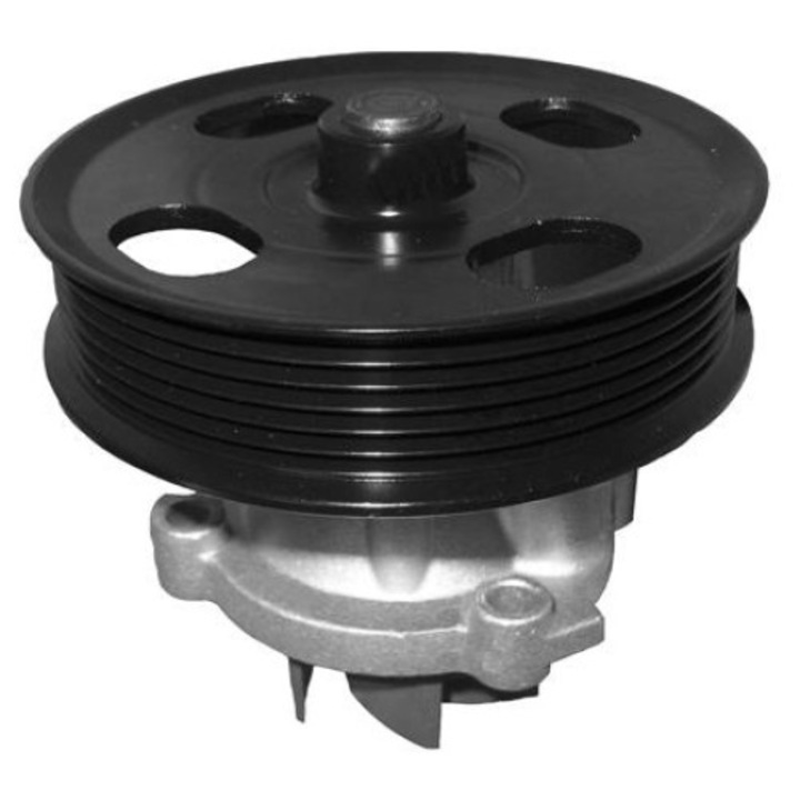 Автомобилна водна помпа N208, Dolz