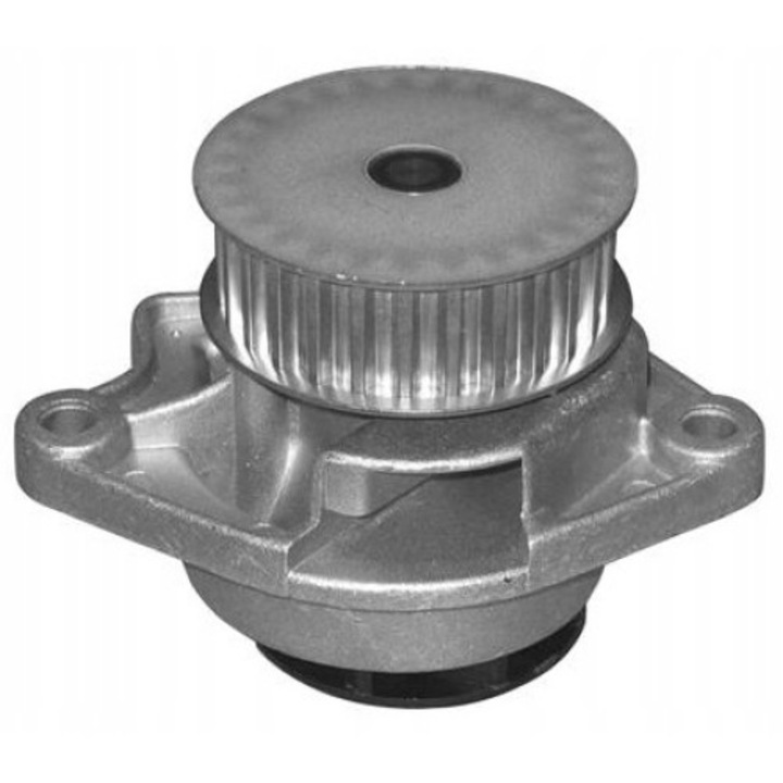 Водна помпа Dolz A191