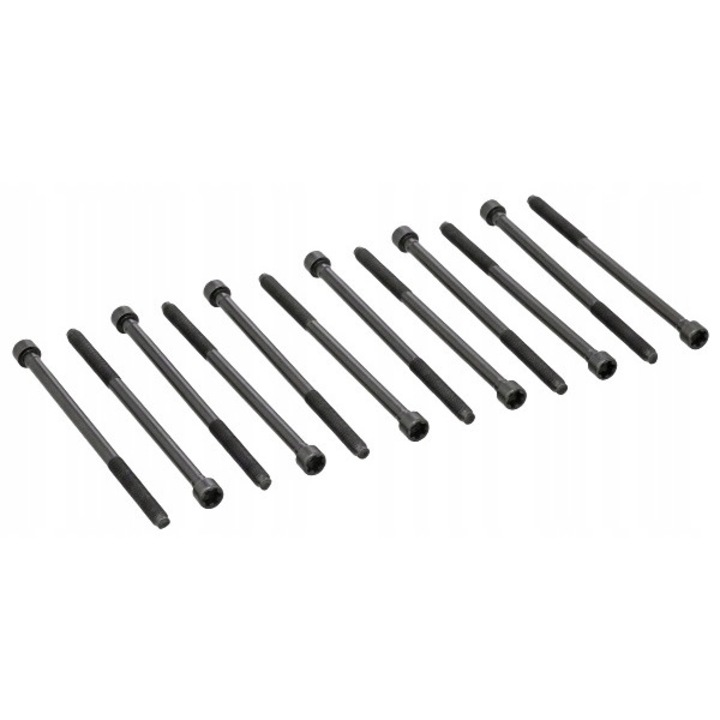 Hengerfej csavarkészlet ELRING 497.410