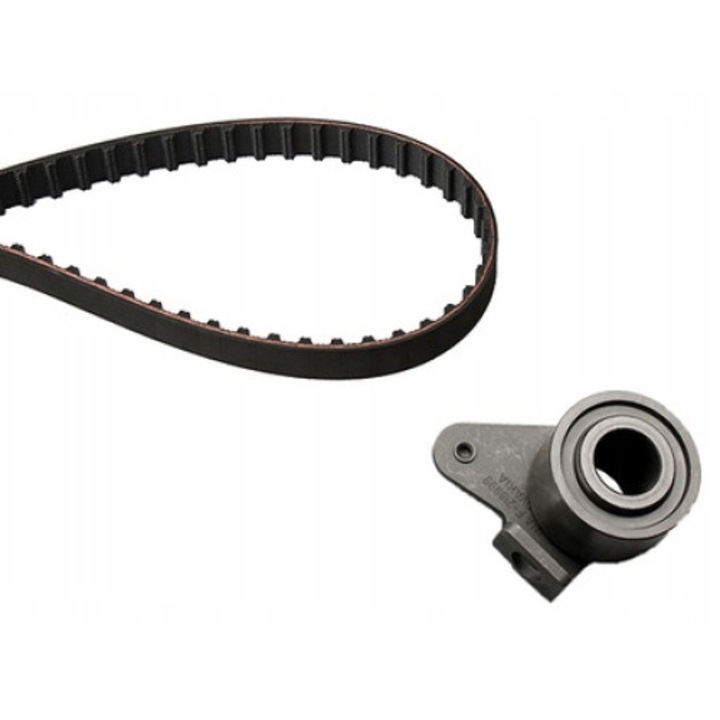 Set curea de distributie INA 530 0248 10