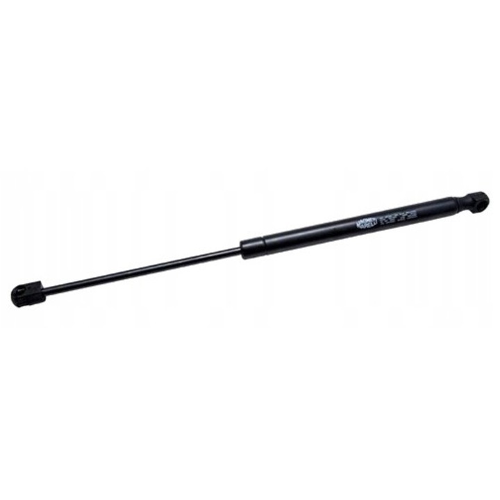 Amortizor MAGNETI MARELLI 430719098100