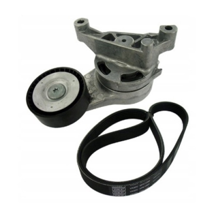 Ékszíj készlet, SKF, 31022