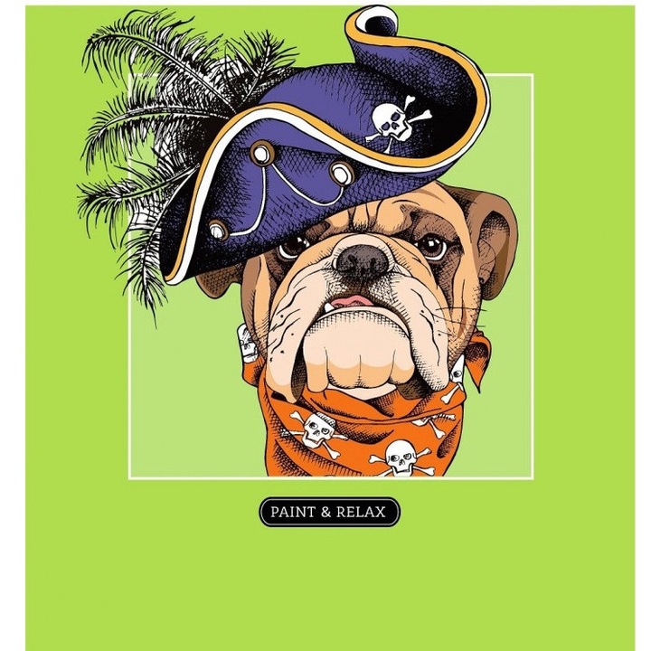 Carte de colorat antistres, Fresh, Multicolor