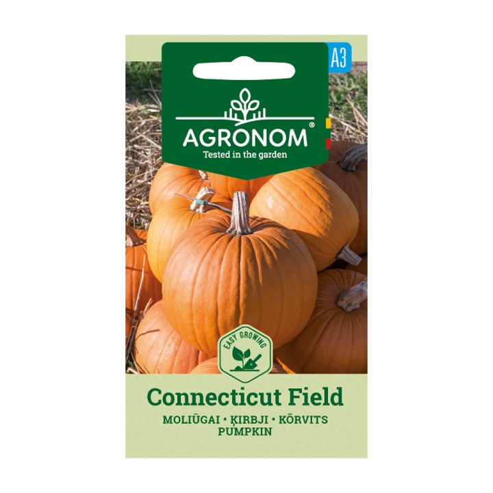 Seminte, Dovleac Connecticut Field, Agronom, plic, 1, 5 gr