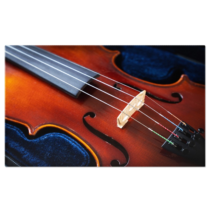 Tablou Canvas Un Detaliu al unui Set de Vioara de Simfonie, muzica, instrument, orchestra, clasic, arta 40x25CM