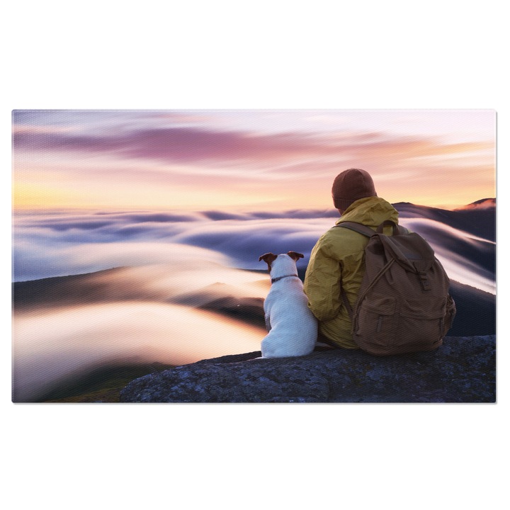 Картина, мъж, седнал на ръба на скала, планина, куче, планини, 369, 40x25CM