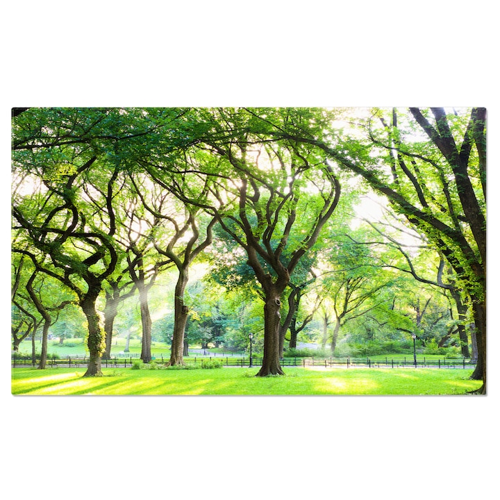 Vászonkép Amerikai szilfák a Central Parkban, New York, Amerika, Central Park, természet, fák, Mall 40x25cm