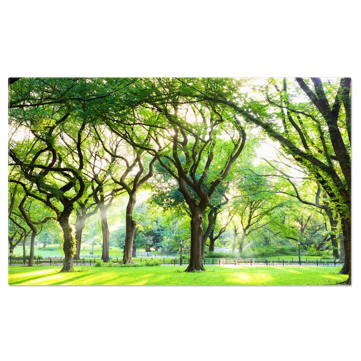 Tablou Canvas Ulmi Americani in Central Park, New York, america, parcul central, natura, arbori, Mall 40x25CM