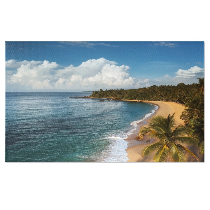 Tablou Canvas Plaja cu Nisip si Palmieri, resort, plaja, turism, Sri Lanka 40x25CM