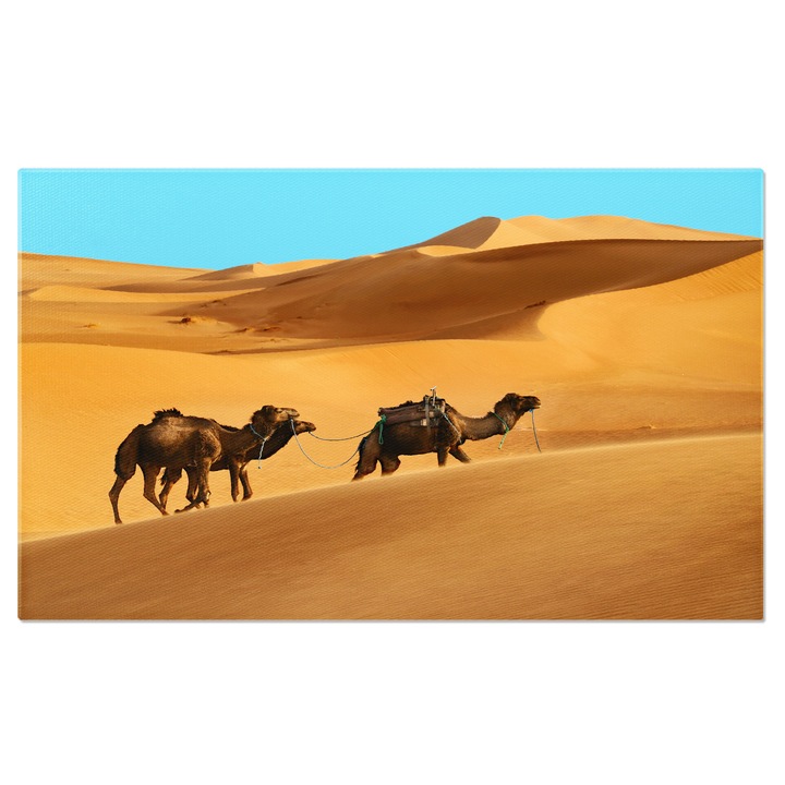Tablou Canvas Camile in Desert camila, desert, caravana, nisip, natura. 40x25CM