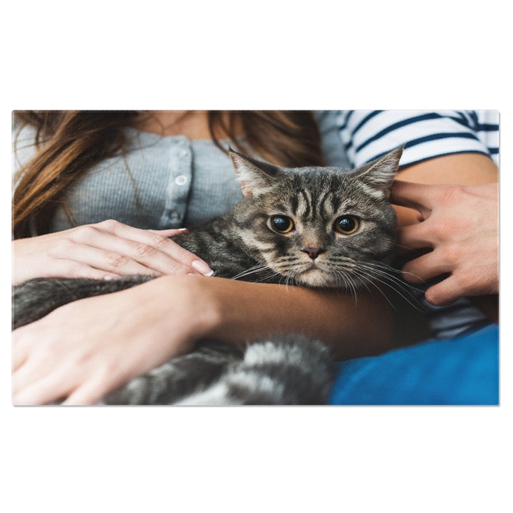 Tablou Canvas Frizer Cu Foarfeca si Pieptene apropiere, adult, animale, ingrijire, caine 90x60CM