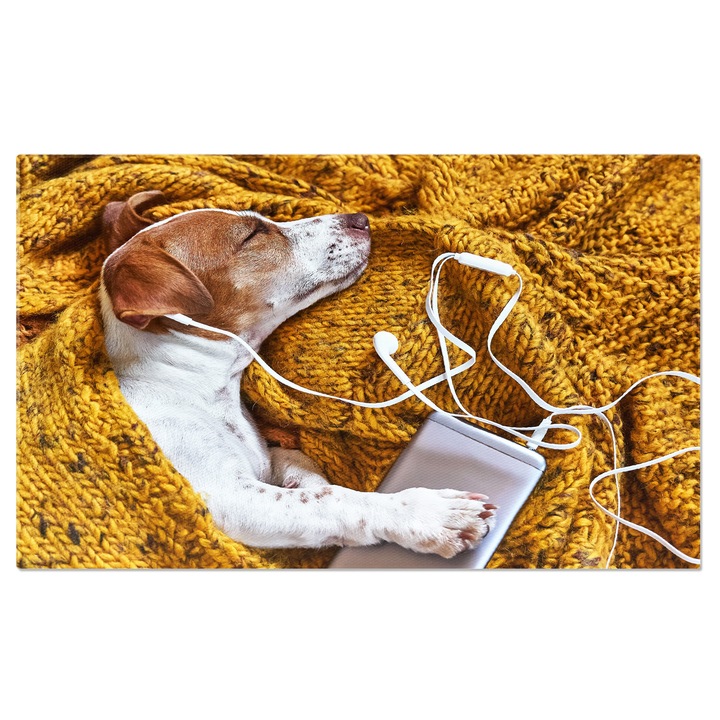 Tablou Canvas Catel Jack Russell Terrier Dragut Dormind pe Patura Galbena catel, animal, muzica, casti, podcast, anxietate 140x90CM