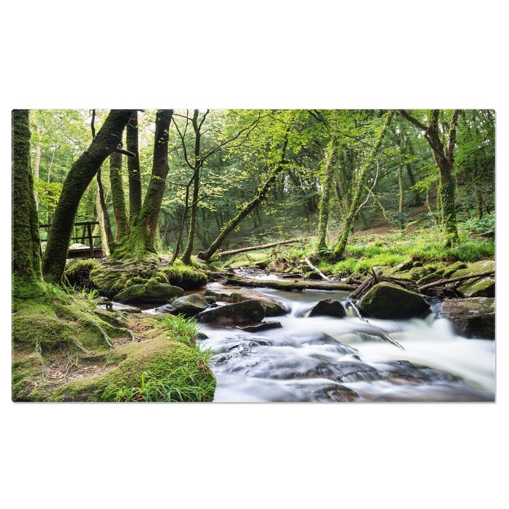 Tablou Canvas Rau cu Curgere Rapida Bodmin Moor, Padure, Apa, Curs de Apa, Piatra, Verde 90x60CM
