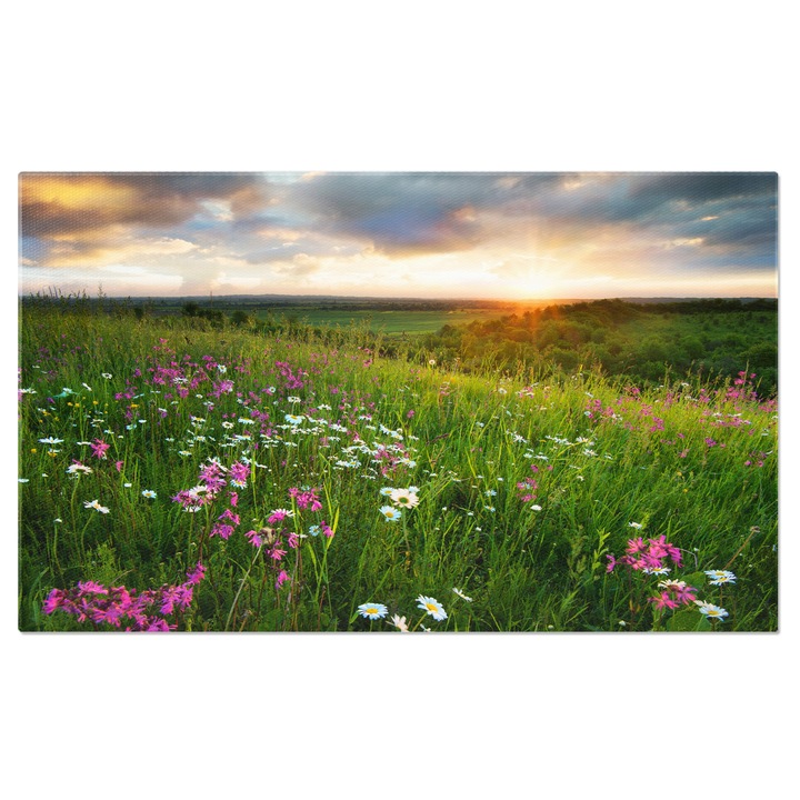 Tablou Canvas Flori pe Campul de Munte la Rasarit Aventura, Turism, Munti, Flori, Rasarit de Soare 120x80CM